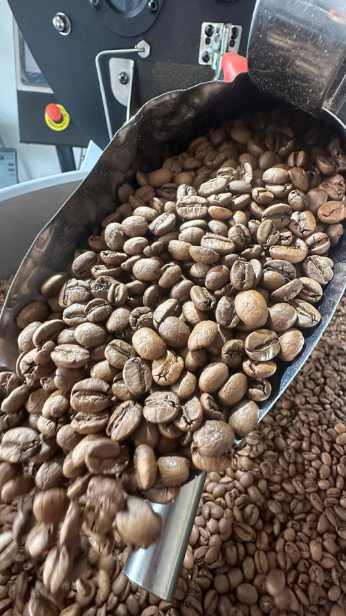 MATAS DE MINAS GOURMET| Em grãos ou Moído| 250g 500g 1kg| 100% Arábica, Torra Média